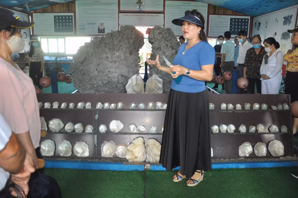 Bà Thuỳ Hương giới thiệu cho du khách về các loại trai ngọc tại trang trại, nơi vợ chồng bà đã dành nhiều tâm huyết để xây dựng thương hiệu Ngọc trai Hạ Long.