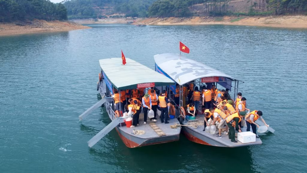 Các đại biểu và nhân dân thả cá giống tái tạo nguồn lợi thuỷ sản tại Hồ Yên Lập và đảo Ti Tốp, vịnh Hạ Long.
