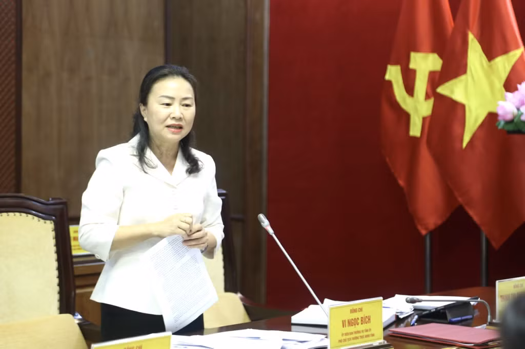 Đồng chí Vi Ngọc Bích, Phó Bí thư Thường trực HĐND tỉnh, phát biểu tại hội nghị.