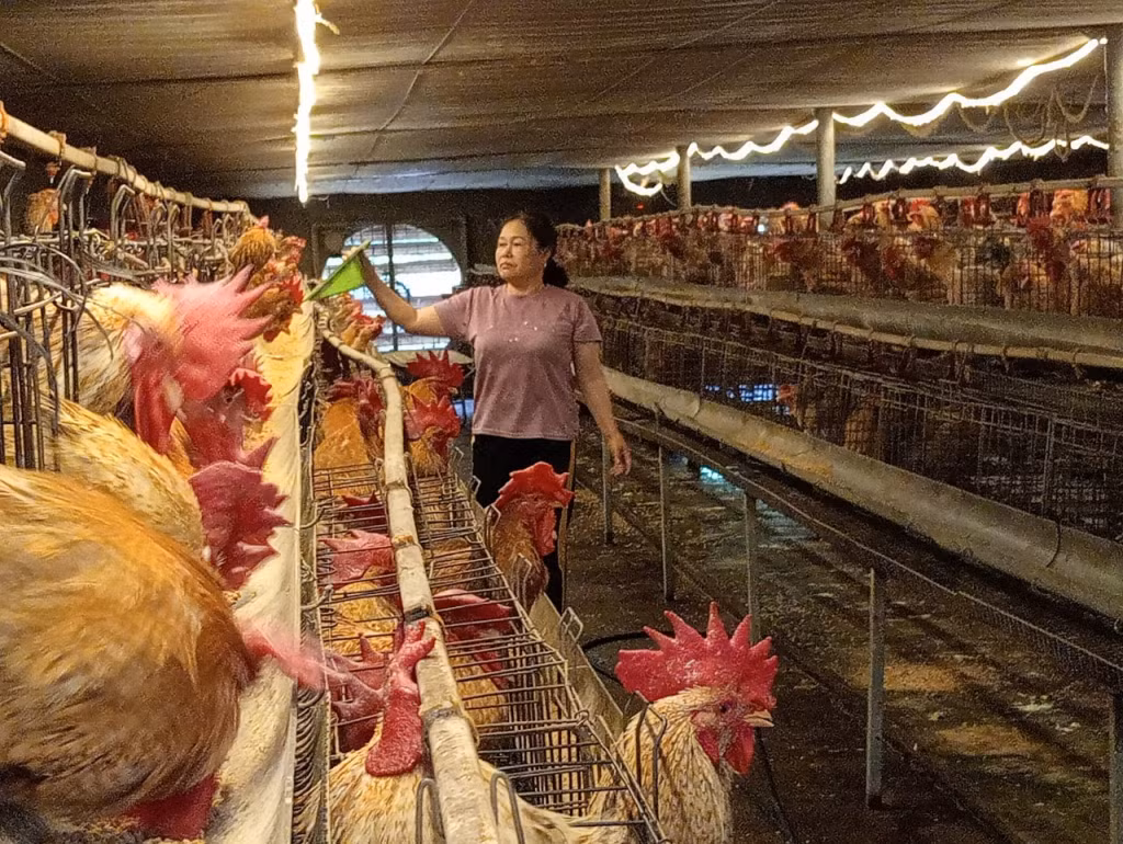 Nhiều mô hình kinh tế theo hình thức HTX ngày càng phát triển mang lại hiệu quả kinh tế cao.