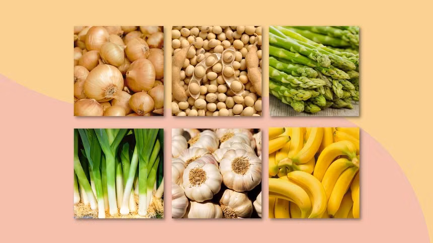 Prebiotic là thức ăn cho các vi khuẩn có lợi sống trong hệ vi sinh vật đường ruột (Ảnh: Internet)