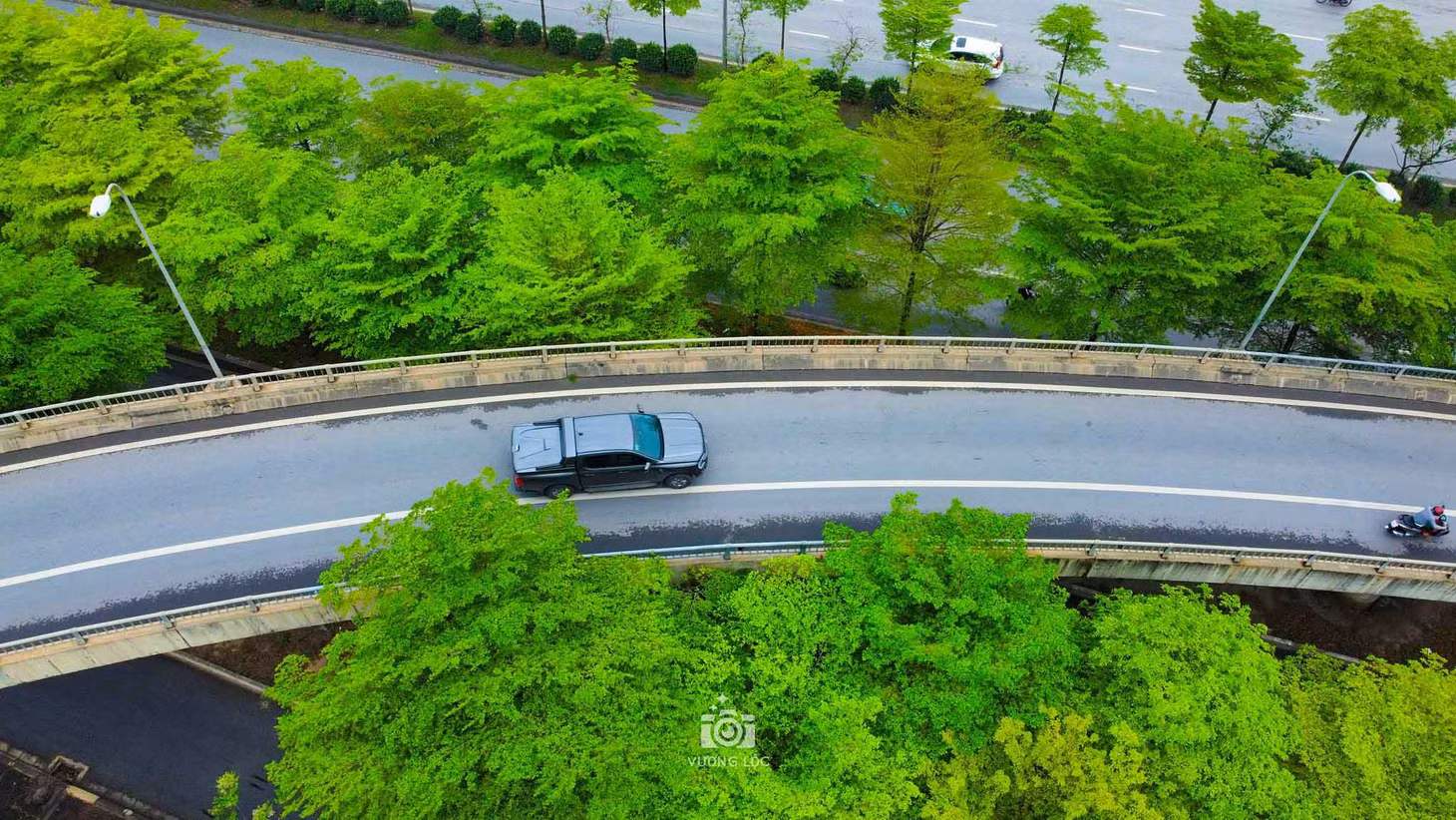 Một đoạn đường như đi xuyên hàng cây bàng lá nhỏ. Ảnh: Vương Lộc