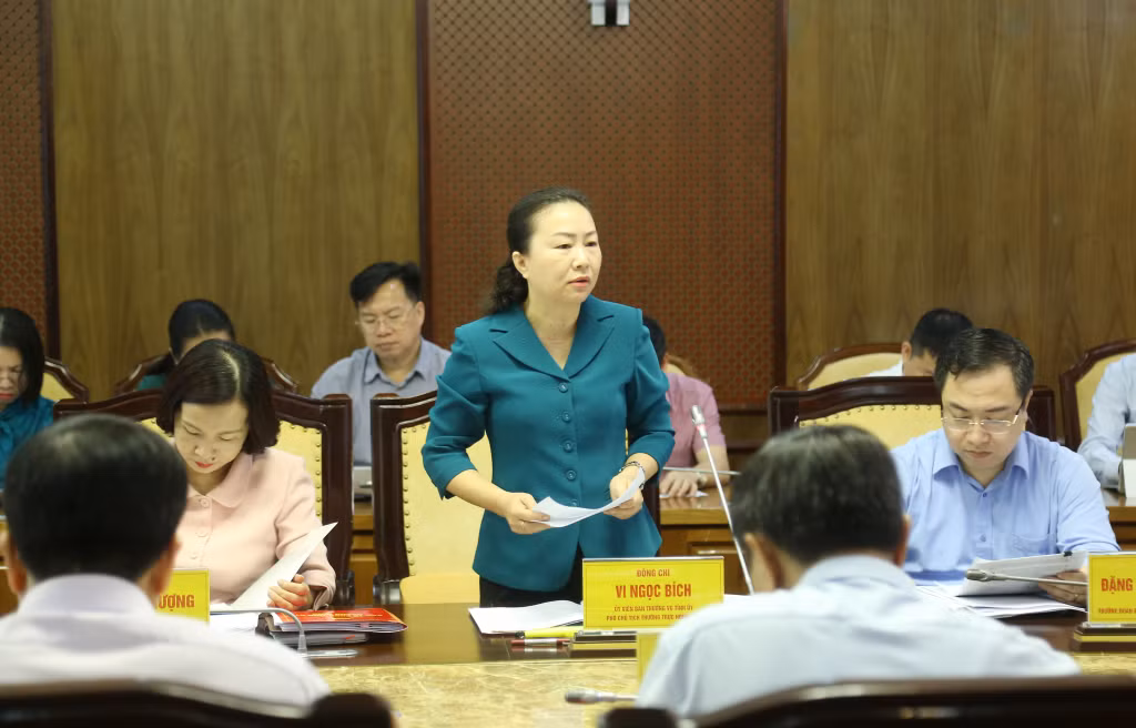 Đồng chí Vi Ngọc Bích, Phó Chủ tịch Thường trực HĐND tỉnh, báo cáo tại hội nghị.