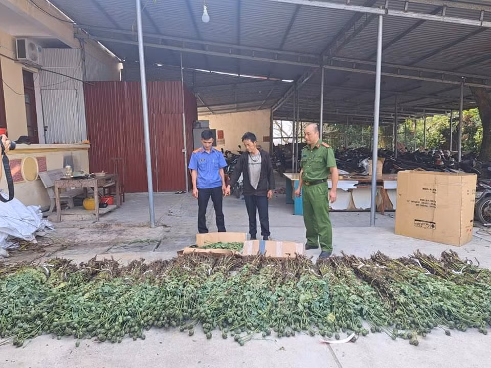 Tang vật cơ quan chức năng thu giữ (Ảnh: Công an tỉnh Hà Giang).