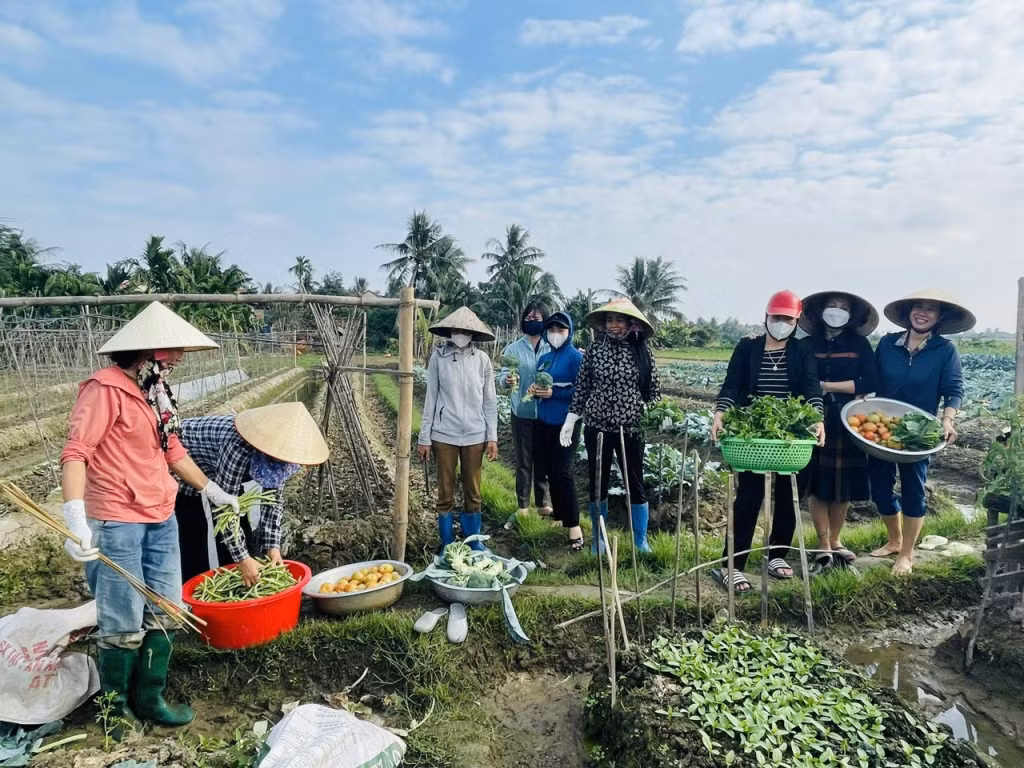 Một buổi học của lớp nghề ngắn hạn Trồng rau an toàn tại Trường Cao đẳng Nông lâm Đông Bắc (TX Quảng Yên).