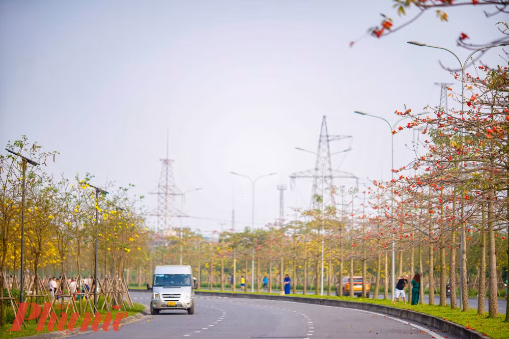 Đây là con đường nội khu thuộc khu đô thị Park City (Dương Nội, Hà Đông, Hà Nội). Con đường có điểm nhấn đặc biệt khi 2 bên đường là 4 hàng hoa phong linh, còn ở dải phân cách giữa đường là hàng cây gạo nở hoa đỏ rực.