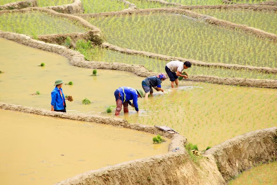 Mặc dù công việc khai đất, dẫn nước cho ruộng bậc thang nơi đây có khó khăn hơn, nhưng bù lại, ngoài những vụ mùa bội thu, người dân nơi đây còn kiến tạo nên kỳ quan thiên nhiên kỳ vĩ, thu hút đông đảo du khách đến tham quan