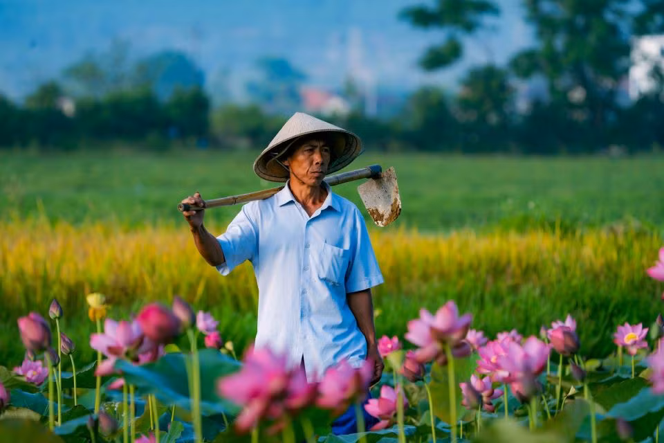 Người dân ra đồng vào sáng sớm. Ảnh: Hoàng Lê