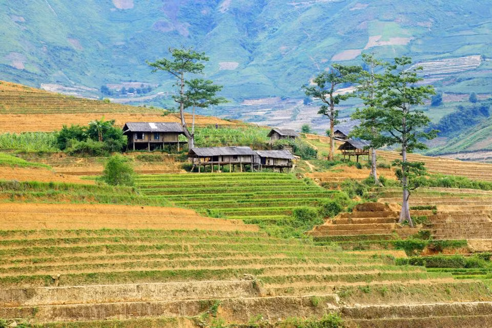Những căn nhà sàn thấp thoáng giữa núi rừng Mù Cang Chải trong mùa đổ nước.