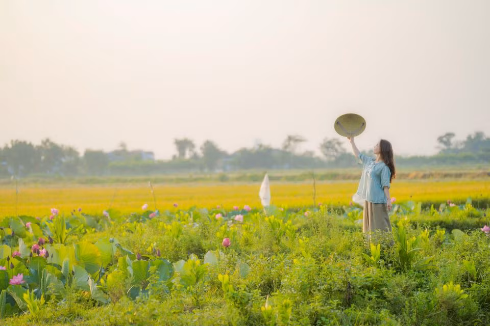 Đón ánh bình mình trên cánh đồng sen thơm ngát. Ảnh: Hoàng Lê