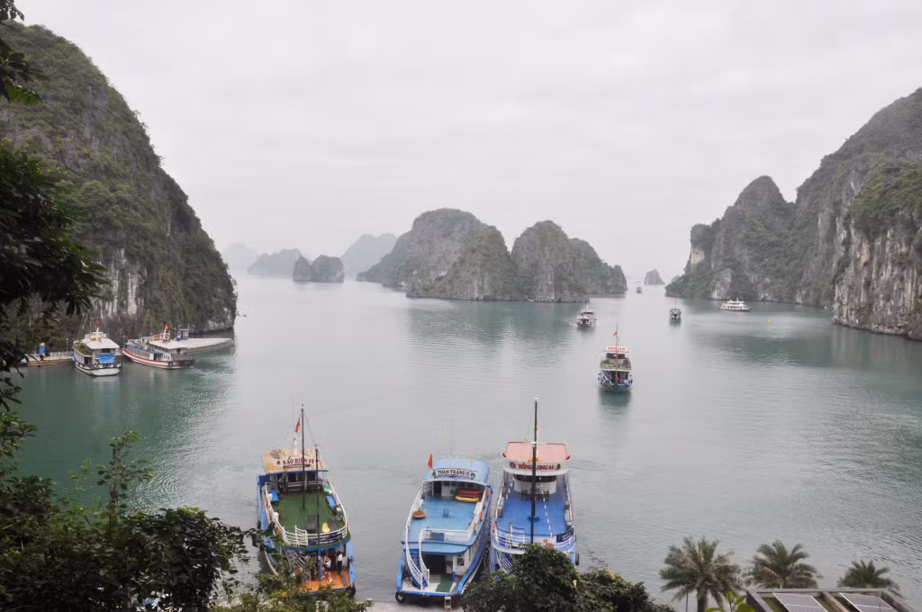 Vịnh Hạ Long - thắng cảnh được Bác Hồ nhiều lần đến thăm nay là Di sản thiên nhiên thế giới, mỗi năm đón hàng triệu lượt du khách tham quan.