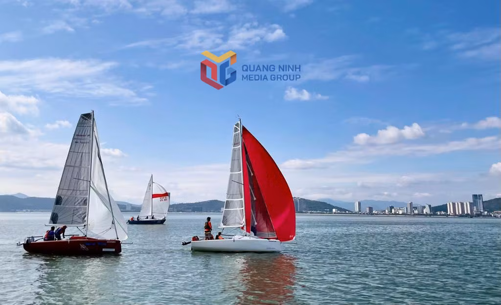 Diễu hành thuyền buồm thể thao là sản phẩm du lịch mới, hấp dẫn của TP Hạ Long dịp hè này.