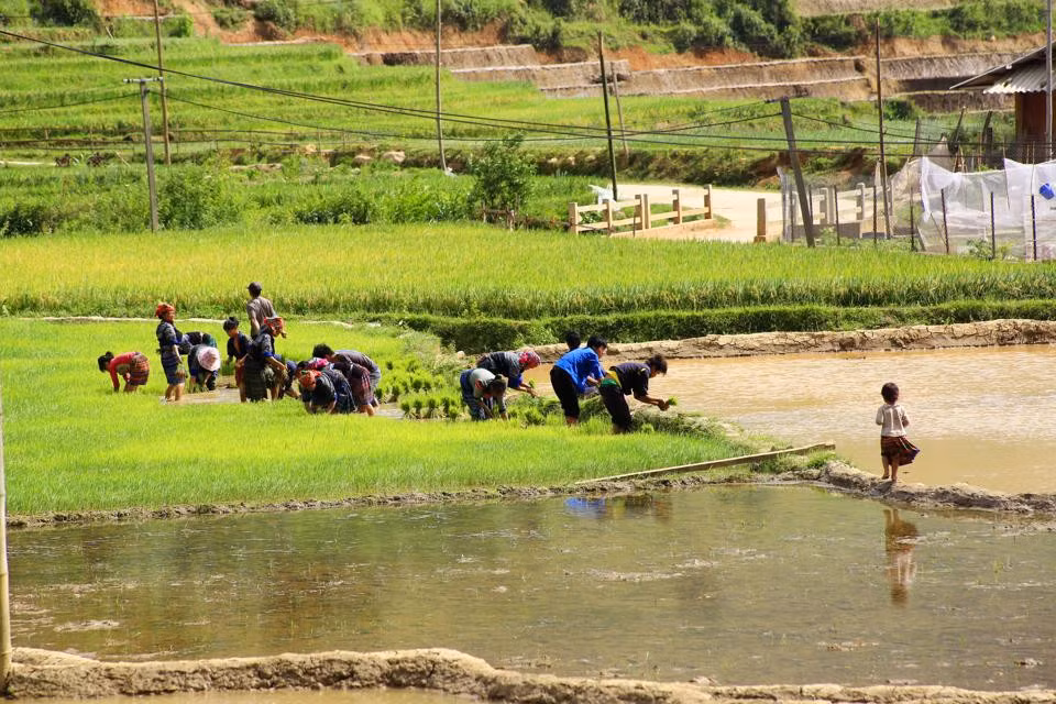 Sản xuất nông nghiệp của đồng bào dân tộc vùng cao phụ thuộc rất nhiều vào thiên nhiên.