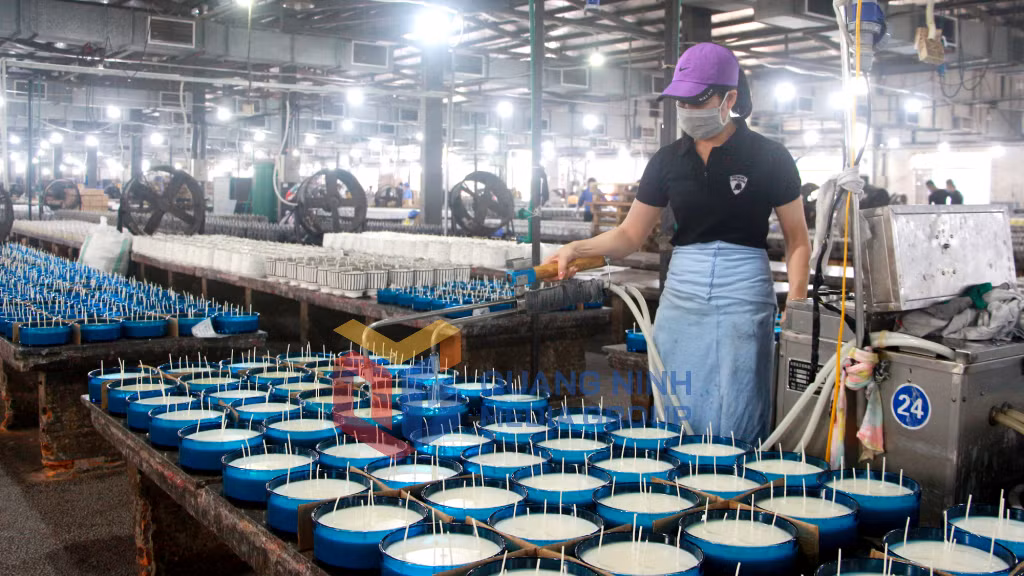 Sản xuất nến nghệ thuật tại Công ty TNHH Nến nghệ thuật AIDI Việt Nam, KCN Việt Hưng, TP Hạ Long) (2-2022). Ảnh: Mạnh Trường