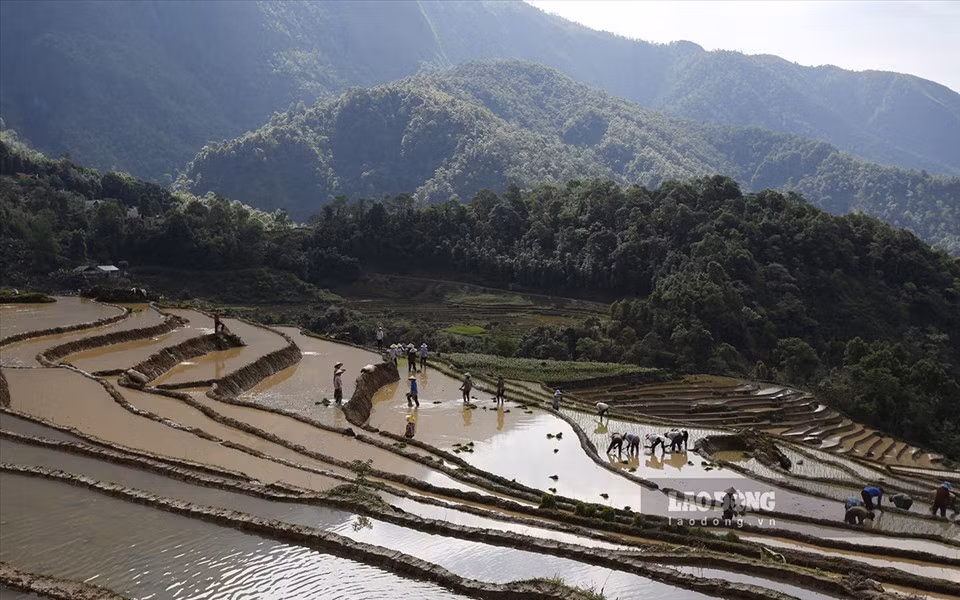 Ruộng bậc thang Sàng Ma Sáo có độ dốc, địa hình quanh co trên độ cao khoảng 2.000m so với mực nước biển.