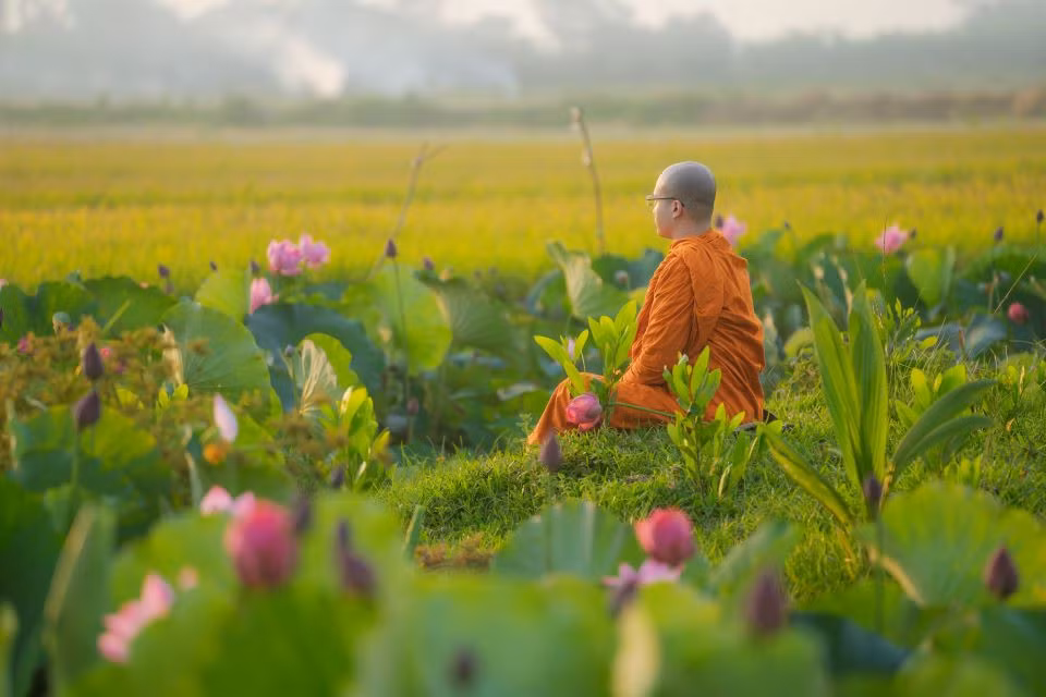 Ngồi thiền bên sen. Ảnh: Hoàng Lê