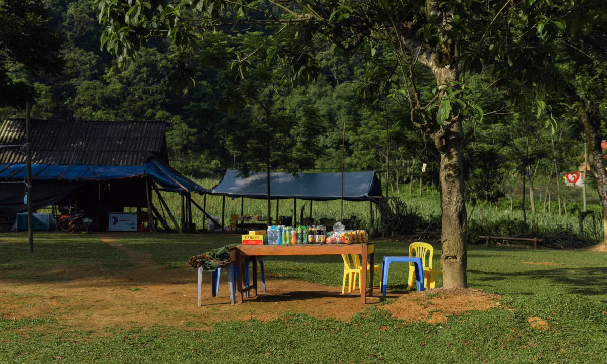 Thảo nguyên xanh Bãi Bùi ảnh 7