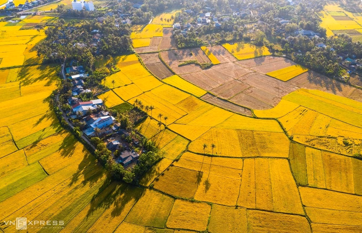 8 trải nghiệm nên thử khi đến Quy Nhơn ảnh 3
