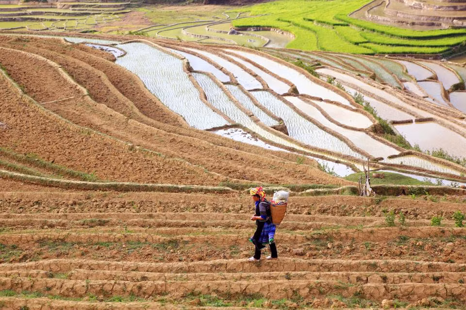 Để có những thửa ruộng bậc thang, người Mông ở Mù Cang Chải phải chọn những vùng đất trên triền đồi, sườn núi có diện tích khá rộng, độ dốc vừa phải và vị trí thuận lợi để đón nước mưa, nước suối.