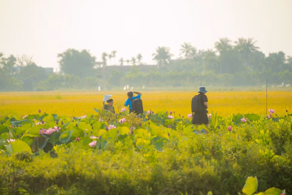 Mùa sen về tại làng La Chữ cũng là dịp để các nhiếp ảnh gia săn tìm các bức ảnh đẹp. Ảnh: Hoàng Lê