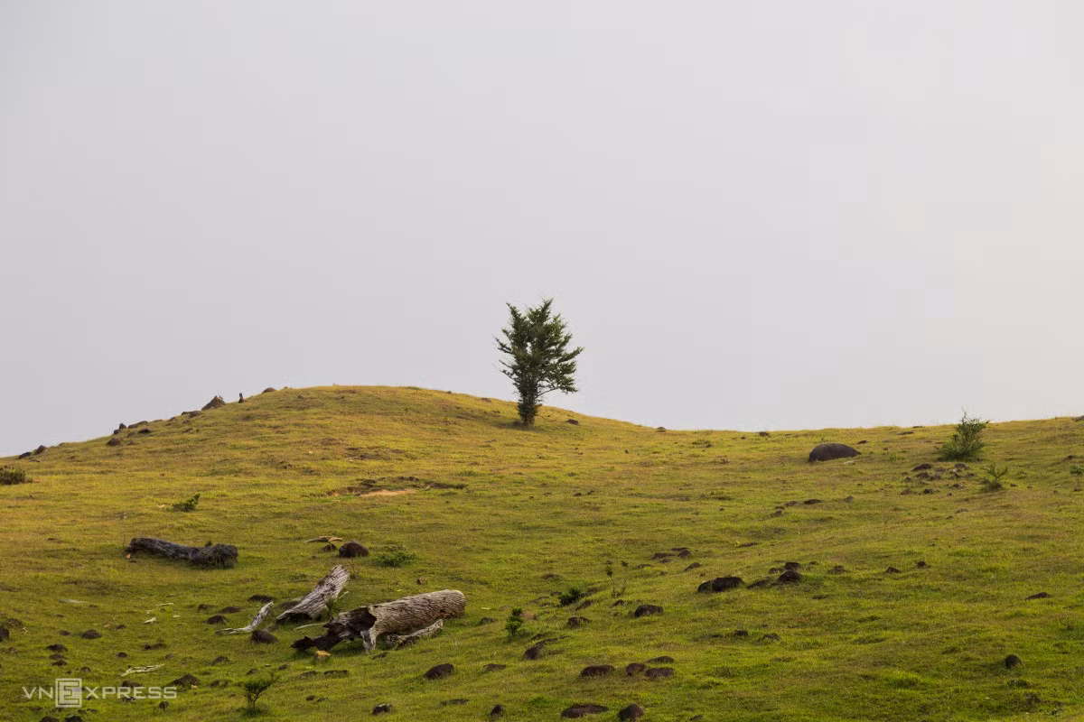 Trekking, cắm trại trên đồng cỏ hàng chục ha ở Quảng Trị ảnh 2