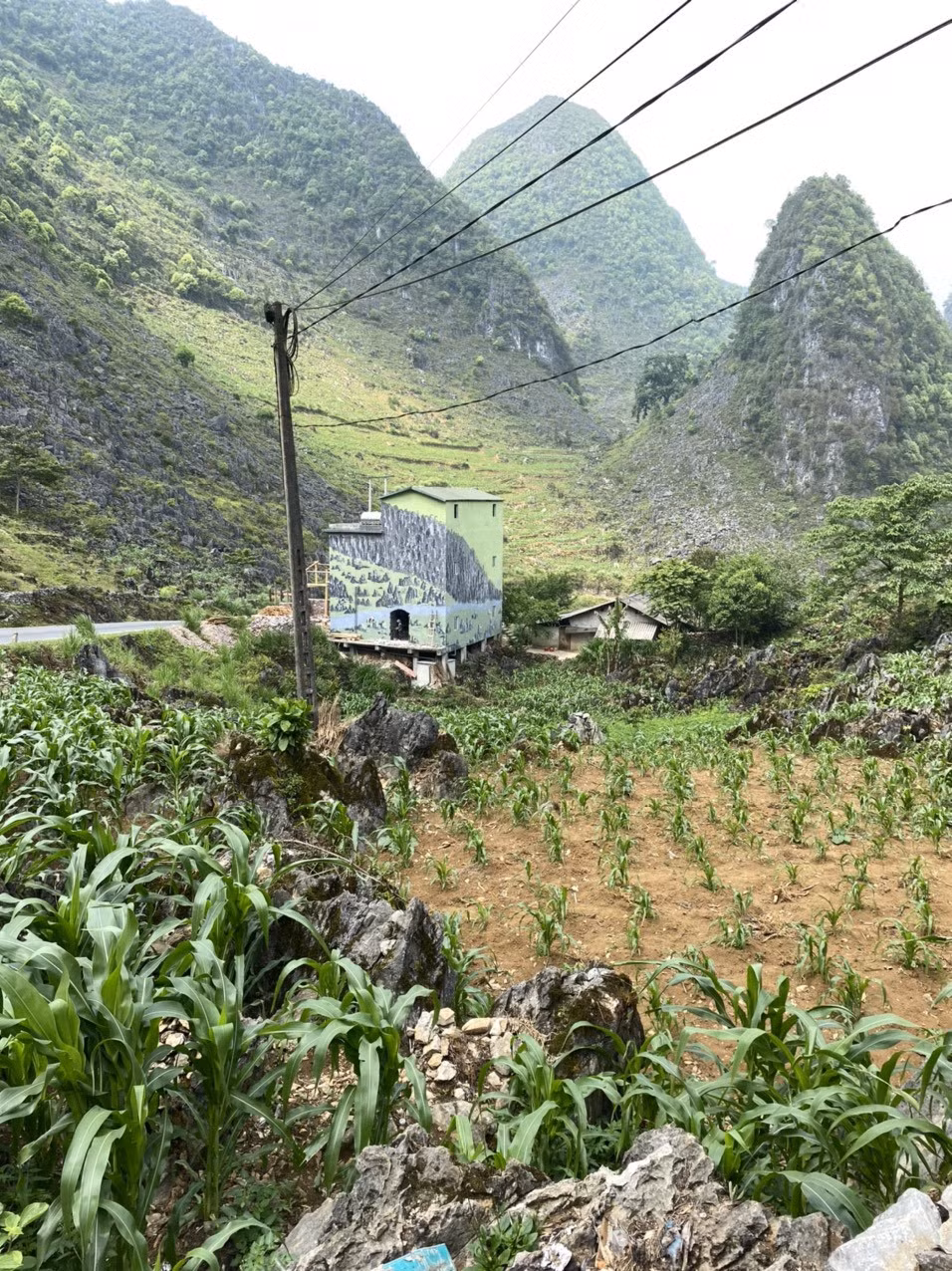 Hình ảnh về một số ngôi nhà "tàng hình" giữa núi rừng Hà Giang đang gây "bão" mạng vài ngày qua.