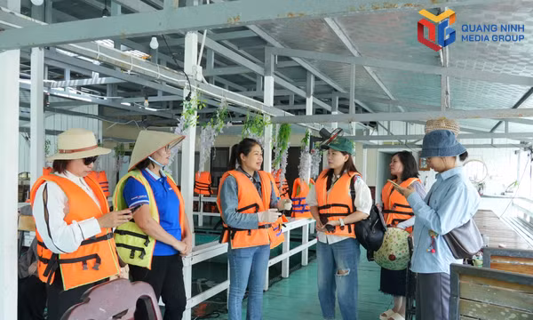 Đánh thức giá trị bản địa, làm mới du lịch Vân Đồn