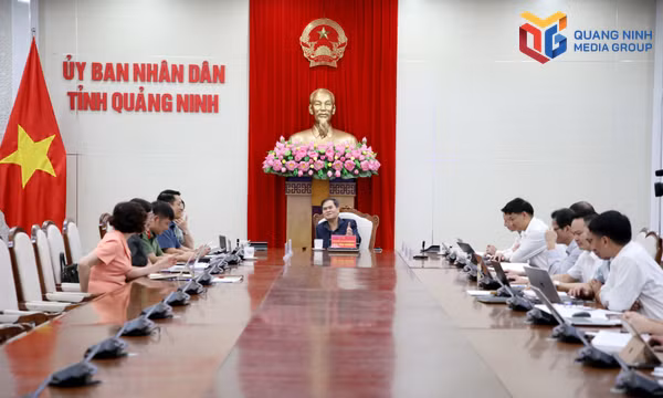 UBND tỉnh cho ý kiến chủ trương đầu tư dự án Khu công nghiệp ASP Quảng Ninh