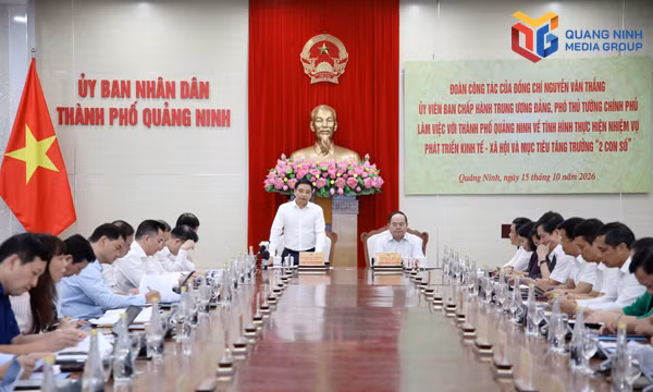 Phó Thủ tướng Chính phủ Nguyễn Văn Thắng làm việc với TP Quảng Ninh
