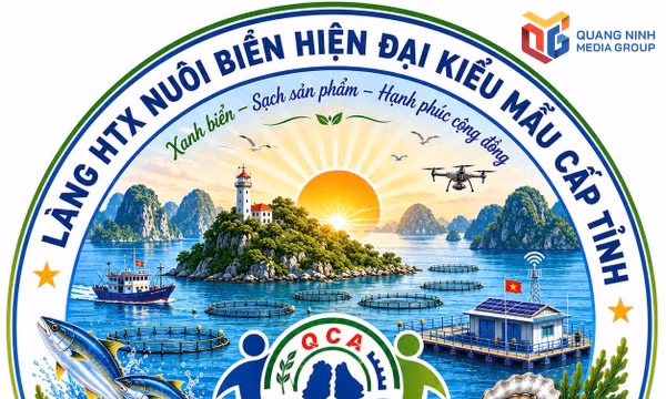 Nghiên cứu xây dựng Đề án Làng Hợp tác xã nuôi biển hiện đại kiểu mẫu cấp tỉnh tại đảo Ông Cụ