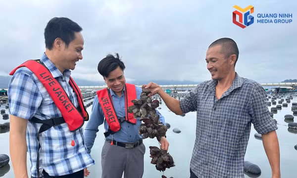Tạo dư địa mới cho tăng trưởng nông nghiệp
