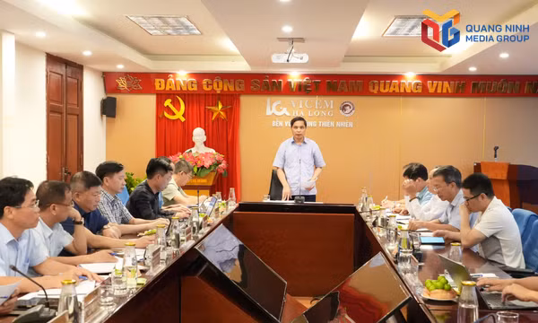  Tháo gỡ vướng mắc, tạo điều kiện để Xi măng Hạ Long duy trì sản xuất
