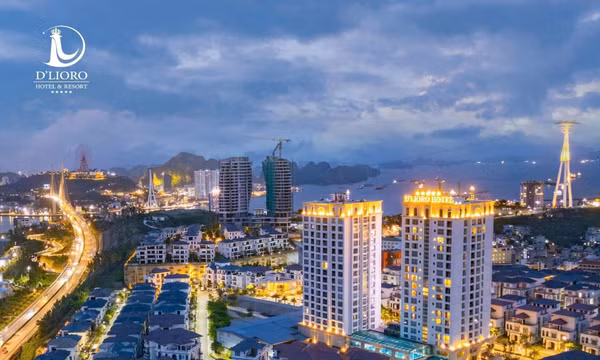 Kiểm tra, xác minh phản ánh về sự kiện có người nước ngoài tham dự tại phường Bãi Cháy