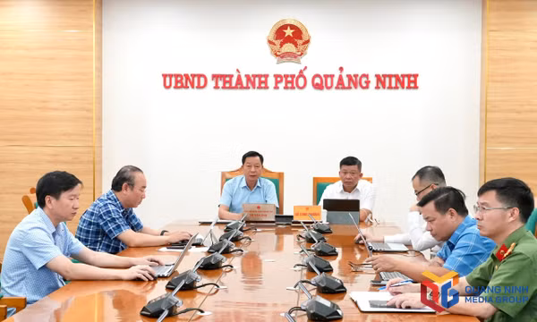 Thúc đẩy phát triển điện mặt trời mái nhà tự sản xuất, tự tiêu thụ