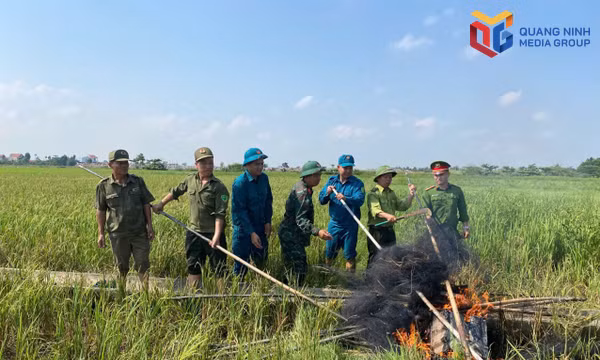 Thắt chặt quản lý, bảo vệ động vật hoang dã