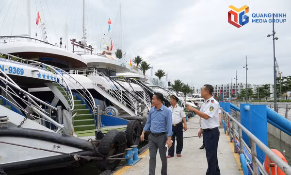 Trình diễn ánh sáng trên di sản vịnh Hạ Long đã sẵn sàng