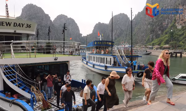 Du khách tham quan Vịnh Hạ Long