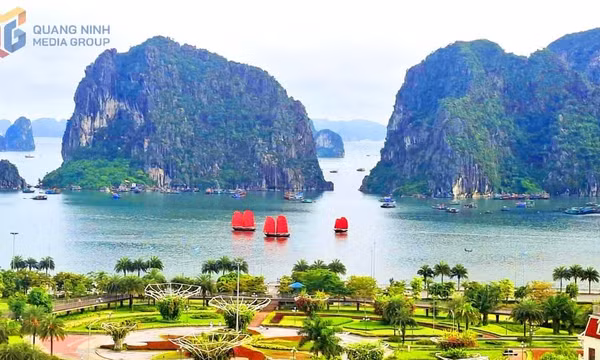 Sóng Hạ Long