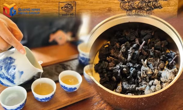 Cập nhật 2.949 cơ sở trên Hệ thống cơ sở dữ liệu truy xuất nguồn gốc thực phẩm nông, lâm, thủy sản an toàn