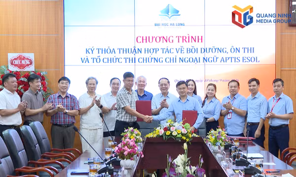 Trường Đại học Hạ Long mở rộng hợp tác đào tạo tiếng Anh chuẩn quốc tế