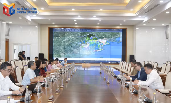 Quảng Ninh thúc đẩy hợp tác đầu tư với Quỹ Đầu tư trực tiếp Liên bang Nga