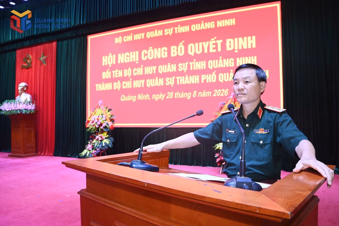 qd-2-7388.jpg