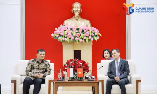 Chủ tịch UBND thành phố Quảng Ninh tiếp xã giao Đoàn đại biểu Indonesia, tháng 10-2026
