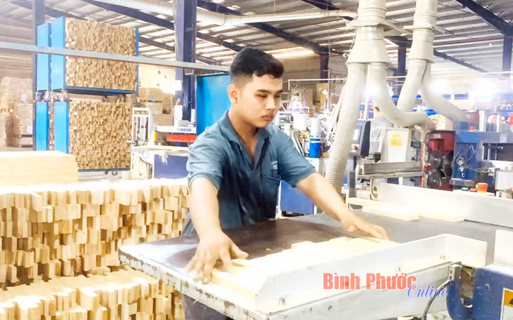 Công ty cổ phần sản xuất, dịch vụ và thương mại Phúc Thịnh, Khu công nghiệp Đồng Xoài I (TP. Đồng Xoài) sản xuất gỗ xuất khẩu đi nhiều nước trên thế giới