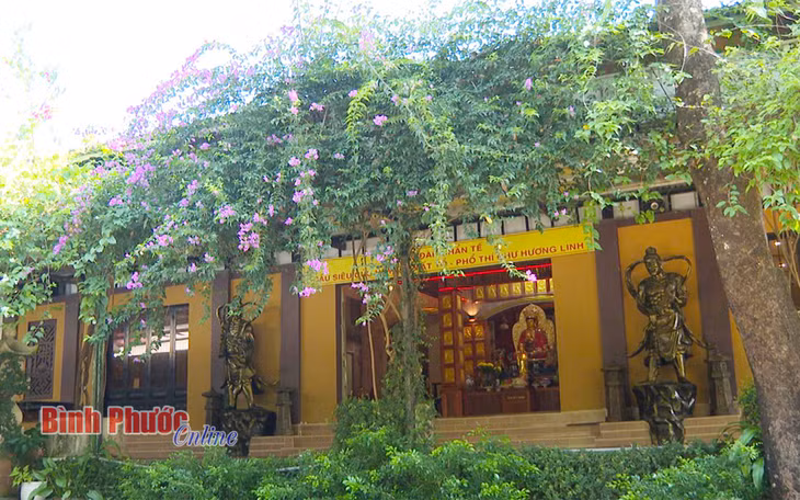Những mảng xanh trước chánh điện của chùa Vạn Quang - Ảnh: Đặng Hùng