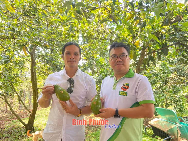 Anh Đặng Dương Minh Hoàng (bìa phải), chủ trang trại Thiên Nông giới thiệu với du khách về giống bơ Mã Dưỡng được trồng theo hướng hữu cơ