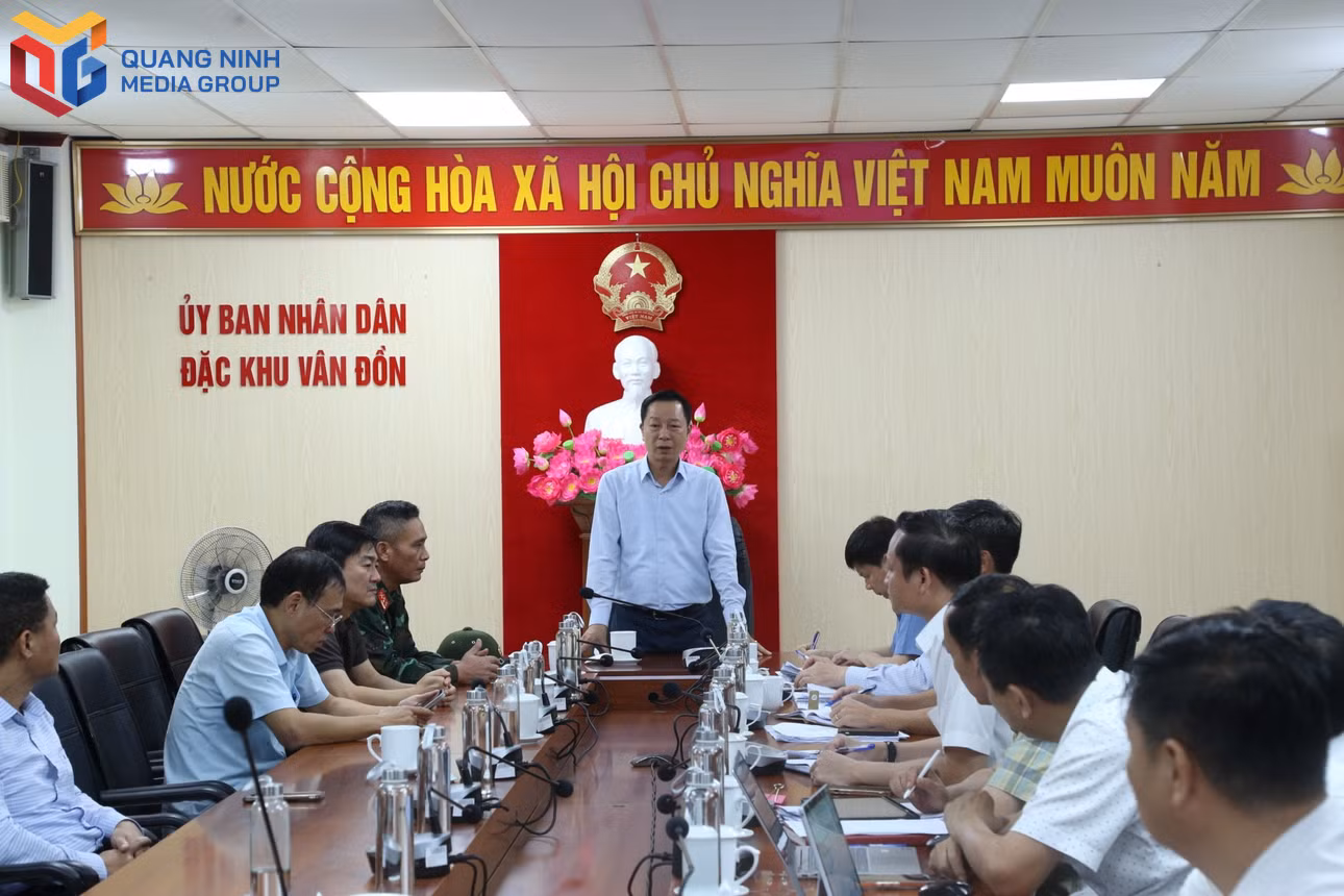 bqn_tl_tung-3.jpg