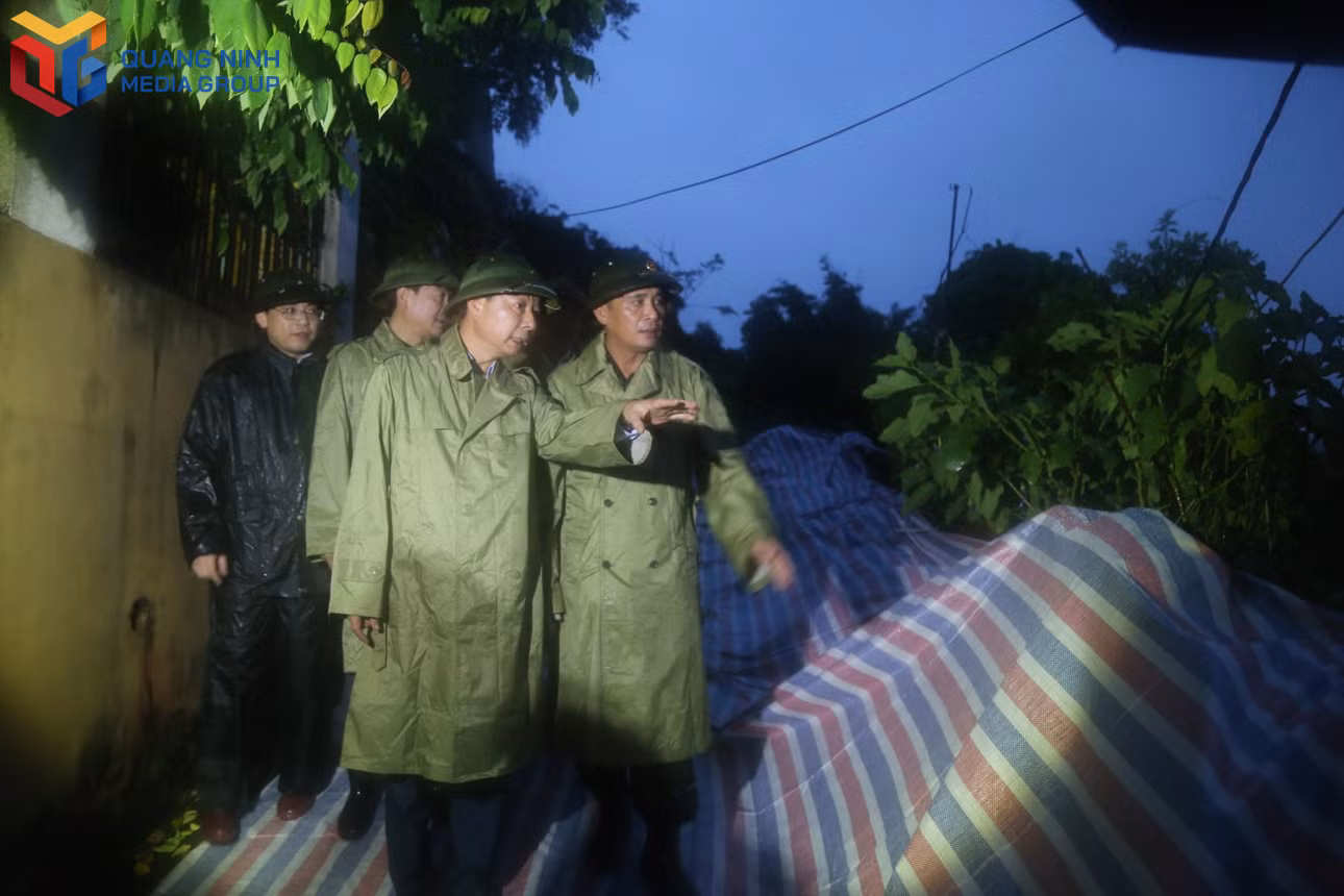 bqn_tl_tung1.jpg