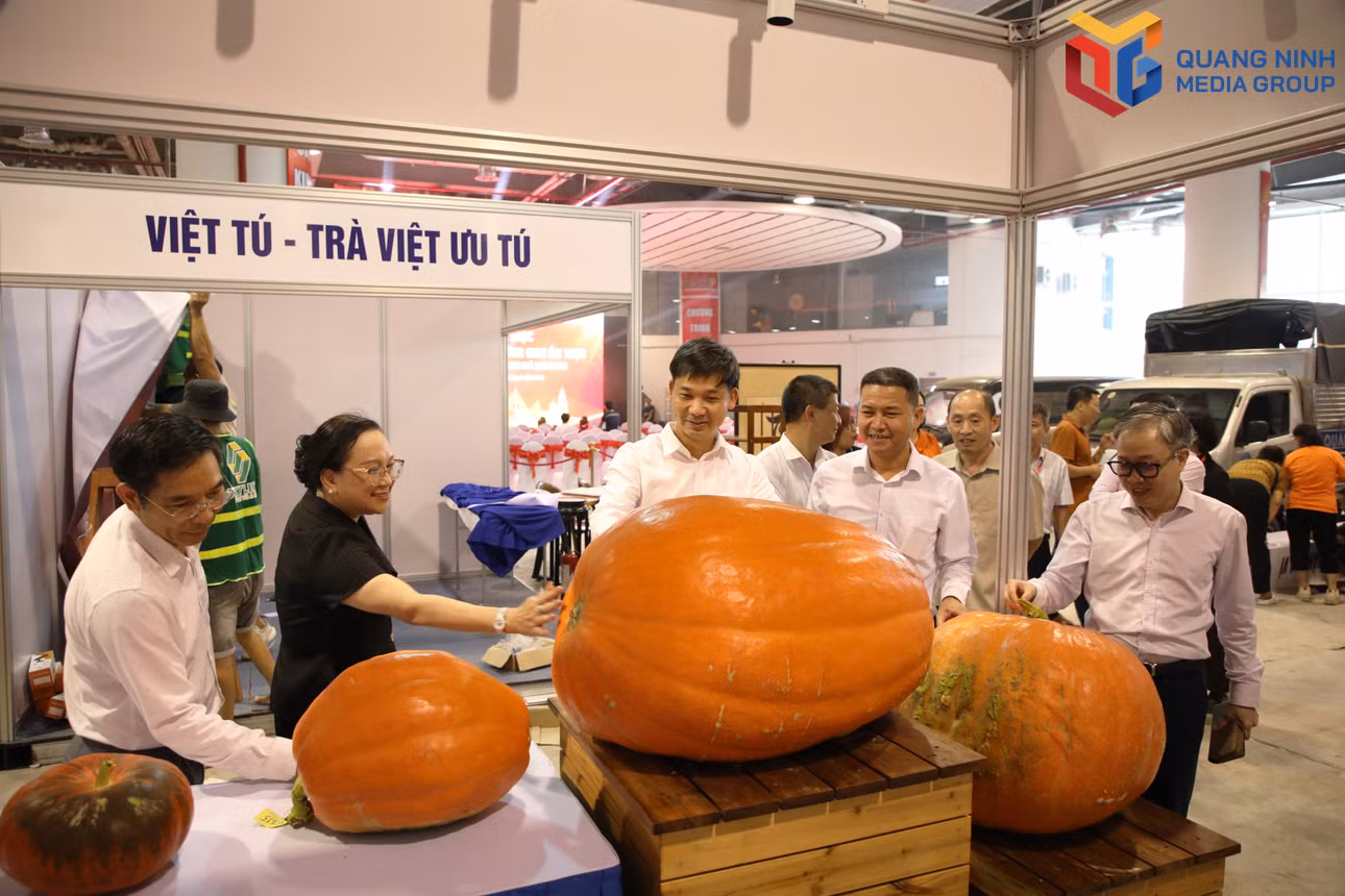 bqn_tr_duc-8807.jpg