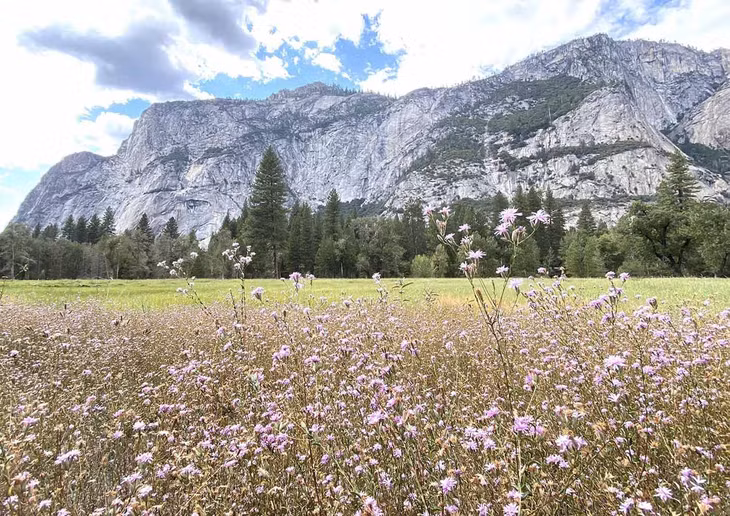 Một số điểm tham quan thú vị ở Công viên quốc gia Yosemite là núi Cathedral, đồi Lembert, thácBridalveil, thác Yosemite và những cây cù tùng khổng lồ. Ảnh: Cao Việt Cường Cavicu